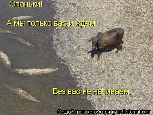 Опаньки! А мы только вас и ждем! Без вас не начинаем...... Котоматрица: Опаньки! А мы только вас и ждем! Без вас не начинаем...