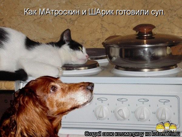 Котоматрица: Как МАтроскин и ШАрик готовили суп.