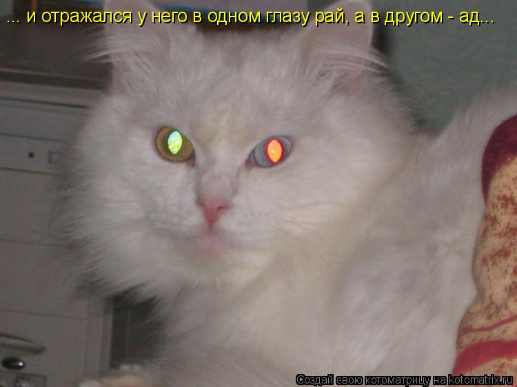 Котоматрица: ... и отражался у него в одном глазу рай, а в другом - ад...