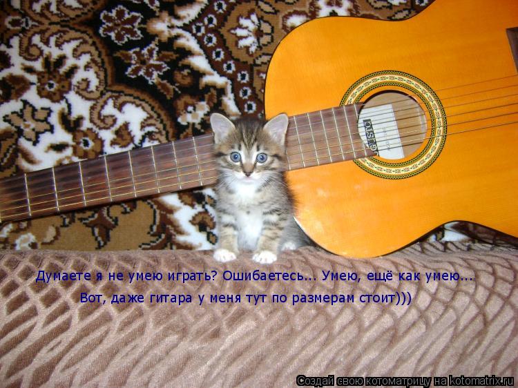 Котоматрица: Думаете я не умею играть? Ошибаетесь... Умею, ещё как умею...  Вот, даже гитара у меня тут по размерам стоит)))