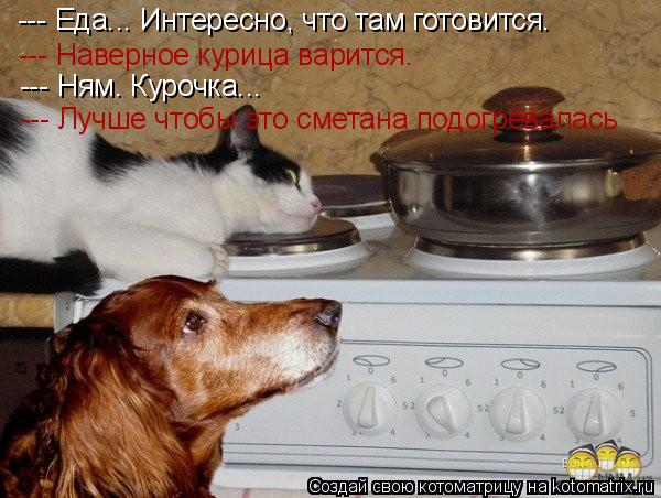 --- Еда... Интересно, что там готовится. --- Наверное курица варится. --- Ням. Курочка... --- Лучше ч... Котоматрица: --- Еда... Интересно, что там готовится. --- Наверное курица варится. --- Ням. Курочка... --- Лучше чтобы это сметана подогревалась