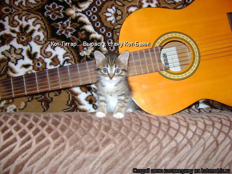 Кот-Гитар... Вырасту, стану Кот-Баян!... Котоматрица: Кот-Гитар... Вырасту, стану Кот-Баян!