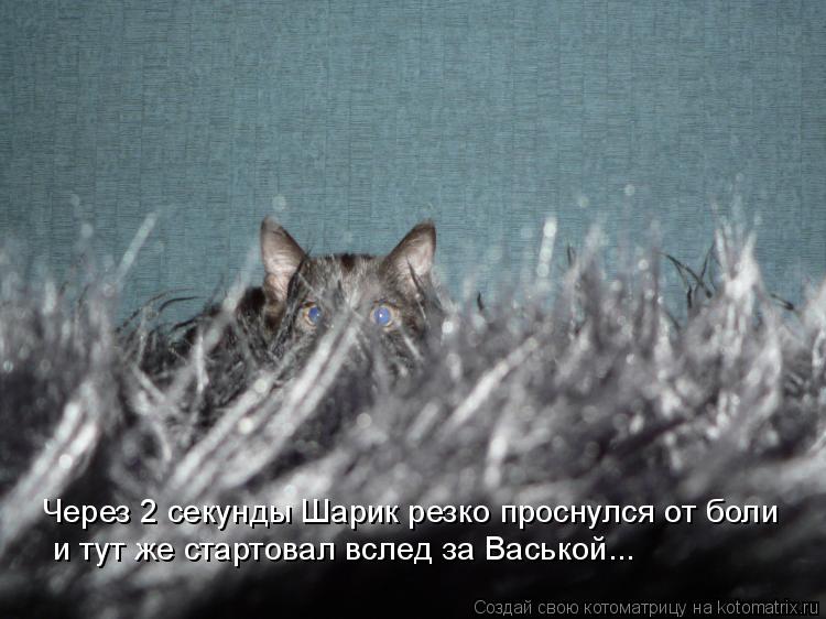 Через 2 секунды Шарик резко проснулся от боли и тут же стартовал вслед за Васькой...... Котоматрица: Через 2 секунды Шарик резко проснулся от боли и тут же стартовал вслед за Васькой...