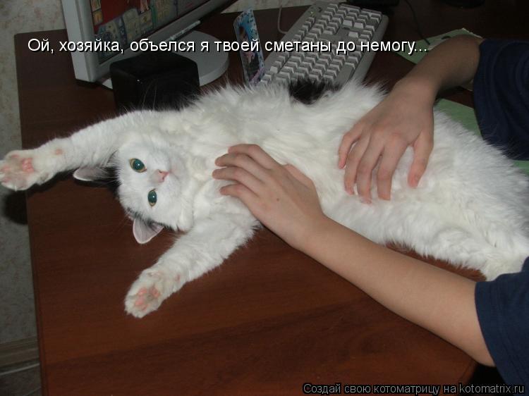 Ой, хозяйка, объелся я твоей сметаны до немогу...... Котоматрица: Ой, хозяйка, объелся я твоей сметаны до немогу...