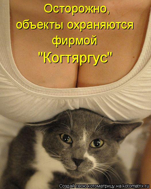 Осторожно, объекты охраняются фирмой "Когтяргус"... Котоматрица: Осторожно, объекты охраняются фирмой "Когтяргус"