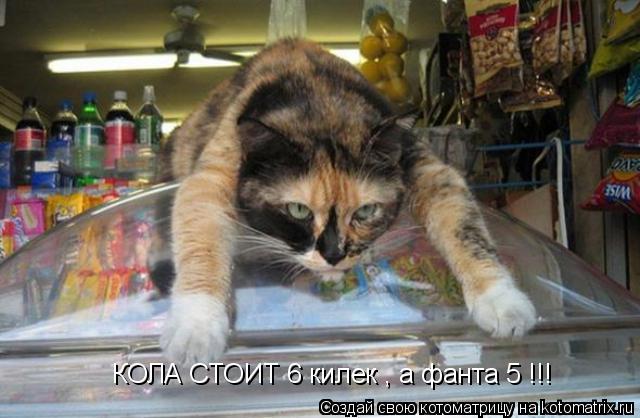 КОЛА СТОИТ 6 килек , а фанта 5 !!!... Котоматрица: КОЛА СТОИТ 6 килек , а фанта 5 !!!