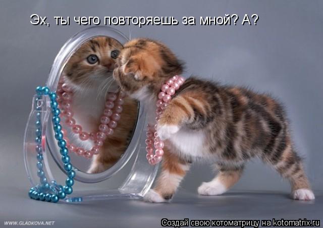 Эх, ты чего повторяешь за мной? А?... Котоматрица: Эх, ты чего повторяешь за мной? А?