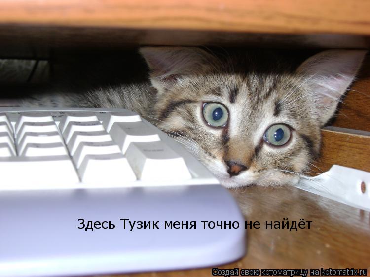 Здесь Тузик меня точно не найдёт... Котоматрица: Здесь Тузик меня точно не найдёт