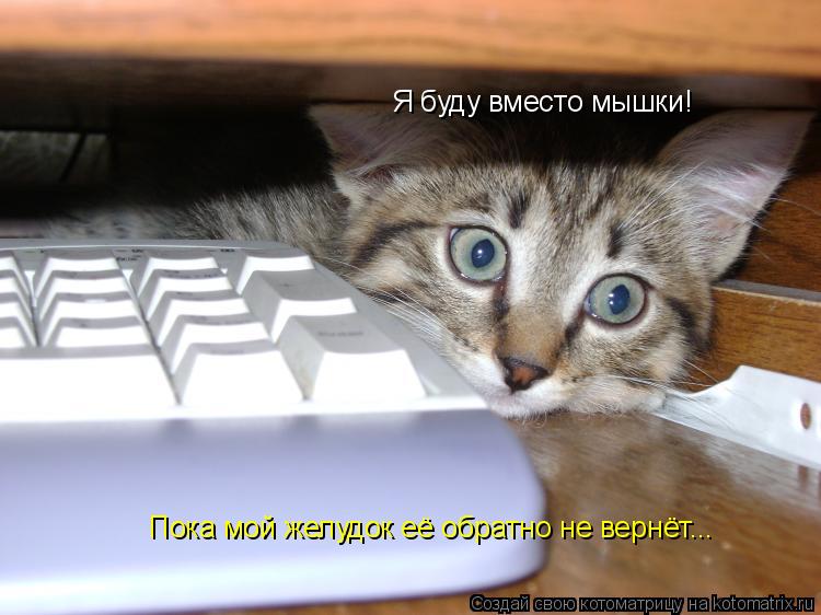 Я буду вместо мышки! Пока мой желудок её обратно не вернёт...... Котоматрица: Я буду вместо мышки! Пока мой желудок её обратно не вернёт...