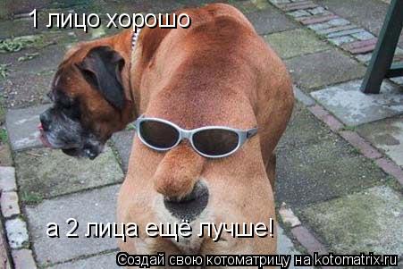 1 лицо хорошо а 2 лица ещё лучше!... Котоматрица: 1 лицо хорошо а 2 лица ещё лучше!