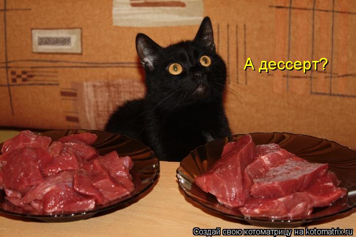 А дессерт?... Котоматрица: А дессерт?