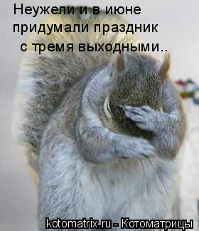 Неужели и в июне придумали праздник с тремя выходными..... Котоматрица: Неужели и в июне придумали праздник с тремя выходными..