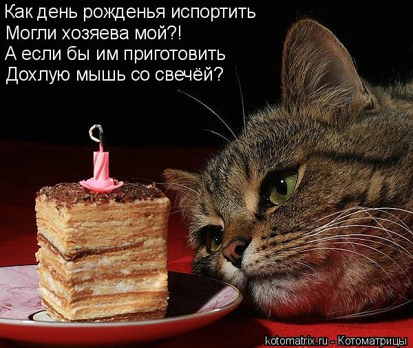 Как день рожденья испортить Могли хозяева мой?! А если бы им приготовить Дохлую мышь со свечёй?... Котоматрица: Как день рожденья испортить Могли хозяева мой?! А если бы им приготовить Дохлую мышь со свечёй?