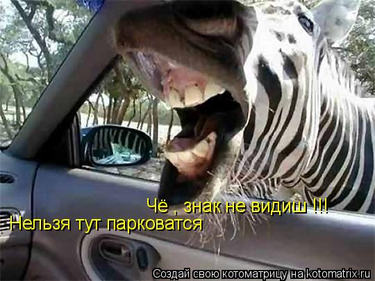 Нельзя тут парковатся Чё , знак не видиш !!!... Котоматрица: Нельзя тут парковатся Чё , знак не видиш !!!