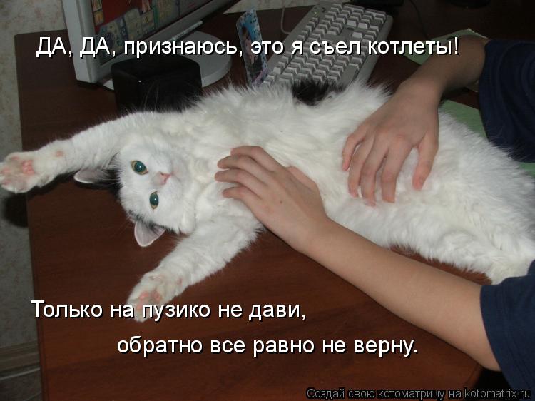 ДА, ДА, признаюсь, это я съел котлеты! Только на пузико не дави, обратно все равно не верну.... Котоматрица: ДА, ДА, признаюсь, это я съел котлеты! Только на пузико не дави, обратно все равно не верну.