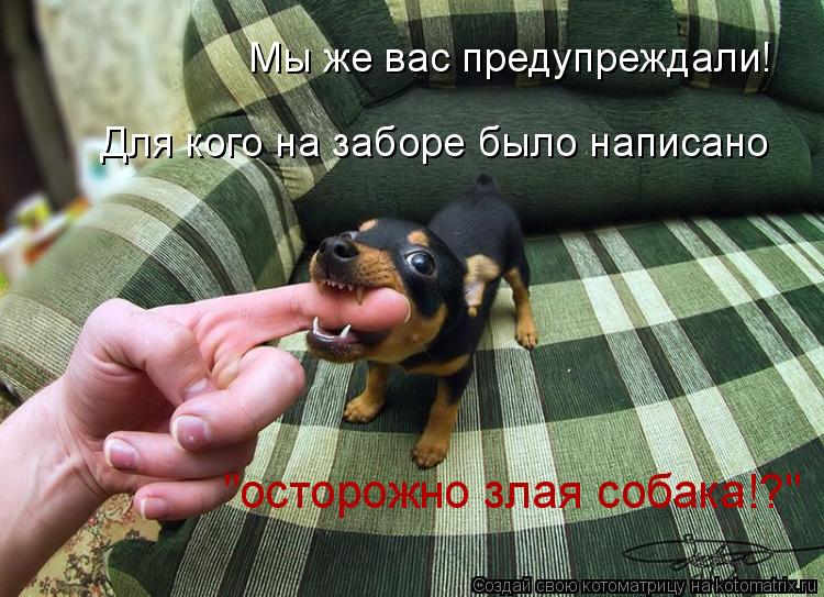Мы же вас предупреждали! Для кого на заборе было написано "осторожно злая собака!?"... Котоматрица: Мы же вас предупреждали! Для кого на заборе было написано "осторожно злая собака!?"