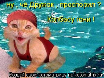 ну , чё Дружок , проспорил ? Колбасу гони !... Котоматрица: ну , чё Дружок , проспорил ? Колбасу гони !