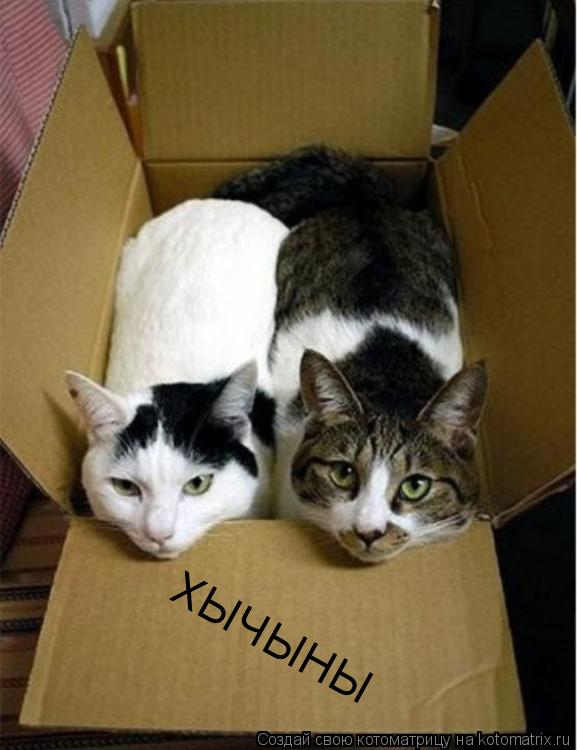 ХЫЧЫНЫ... Котоматрица: ХЫЧЫНЫ
