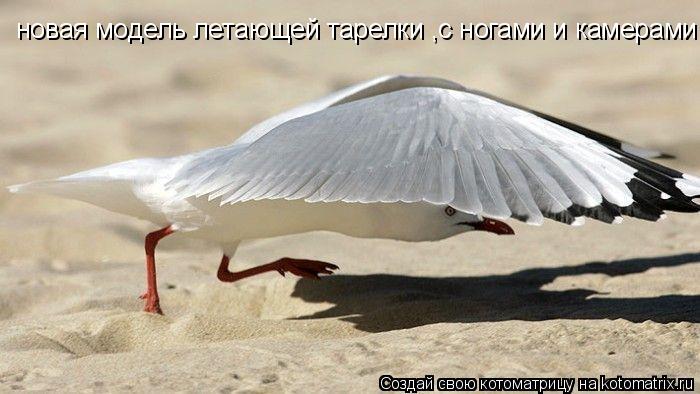 новая модель летающей тарелки ,с ногами и камерами... Котоматрица: новая модель летающей тарелки ,с ногами и камерами