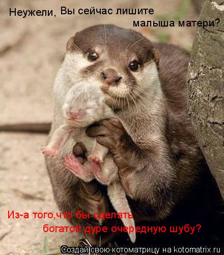 Неужели, Вы сейчас лишите малыша матери? Из-а того,что бы сделать богатой дуре очередную шубу?... Котоматрица: Неужели, Вы сейчас лишите малыша матери? Из-а того,что бы сделать богатой дуре очередную шубу?