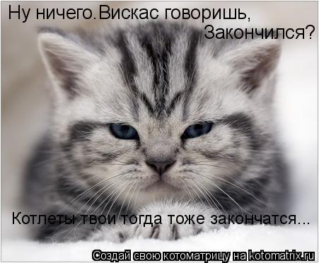 Ну ничего.Вискас говоришь, Закончился? Котлеты твои тогда тоже закончатся...... Котоматрица: Ну ничего.Вискас говоришь, Закончился? Котлеты твои тогда тоже закончатся...