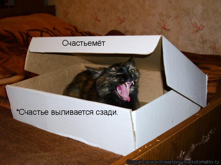 Счастьемёт *Счастье выливается сзади.... Котоматрица: Счастьемёт *Счастье выливается сзади.