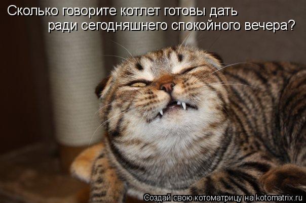 Сколько говорите котлет готовы дать ради сегодняшнего спокойного вечера?... Котоматрица: Сколько говорите котлет готовы дать ради сегодняшнего спокойного вечера?