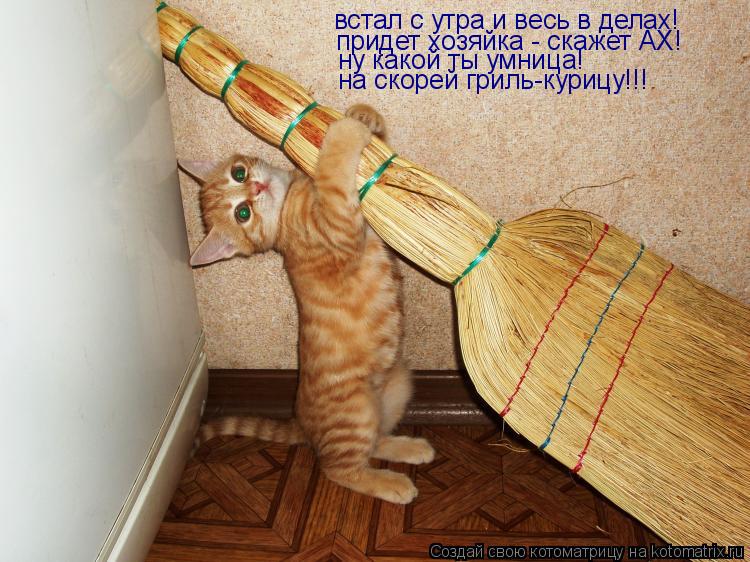 встал с утра и весь в делах! придет хозяйка - скажет АХ! ну какой ты умница! ну какой ты умница! на с... Котоматрица: встал с утра и весь в делах! придет хозяйка - скажет АХ! ну какой ты умница! ну какой ты умница! на скорей гриль-курицу!!!