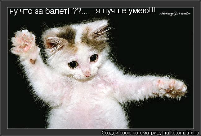 ну что за балет!!??.... я лучше умею!!!... Котоматрица: ну что за балет!!??.... я лучше умею!!!