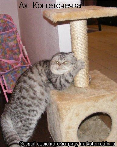 Ах..Когтеточечка...... Котоматрица: Ах..Когтеточечка...