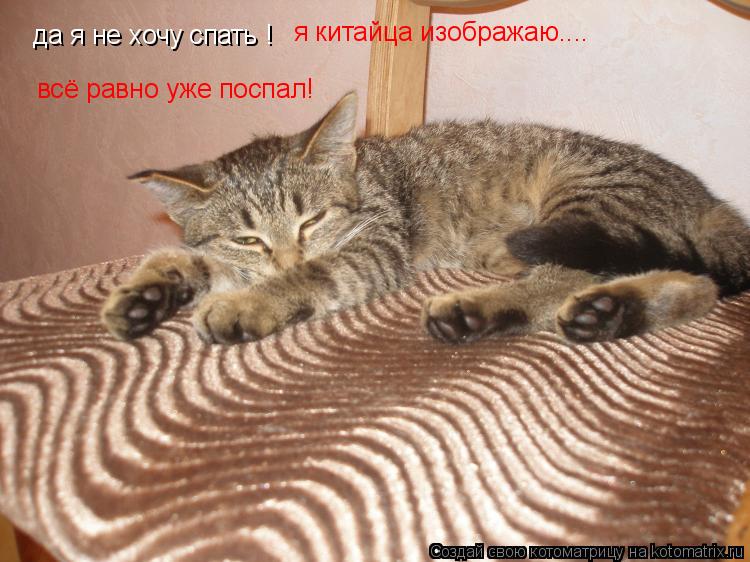 да я не хочу спать ! я китайца изображаю.... всё равно уже поспал!... Котоматрица: да я не хочу спать ! я китайца изображаю.... всё равно уже поспал!