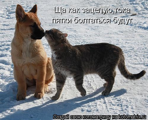 Ща как зацелую,тока пятки болтаться будут...... Котоматрица: Ща как зацелую,тока пятки болтаться будут...
