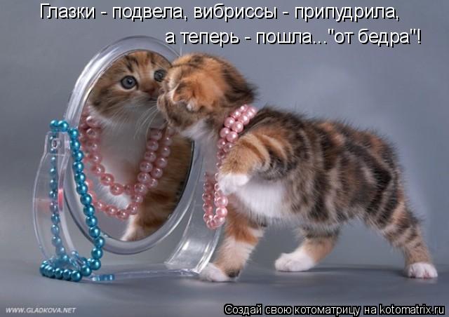 Котоматрица: Глазки - подвела, вибриссы - припудрила, а теперь - пошла..."от бедра"!