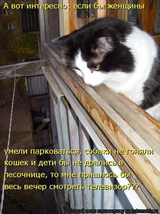 А вот интересно: если бы женщины умели парковаться, собаки не гоняли кошек и дети бы не дрались в ... Котоматрица: А вот интересно: если бы женщины умели парковаться, собаки не гоняли кошек и дети бы не дрались в песочнице, то мне пришлось бы весь вечер с