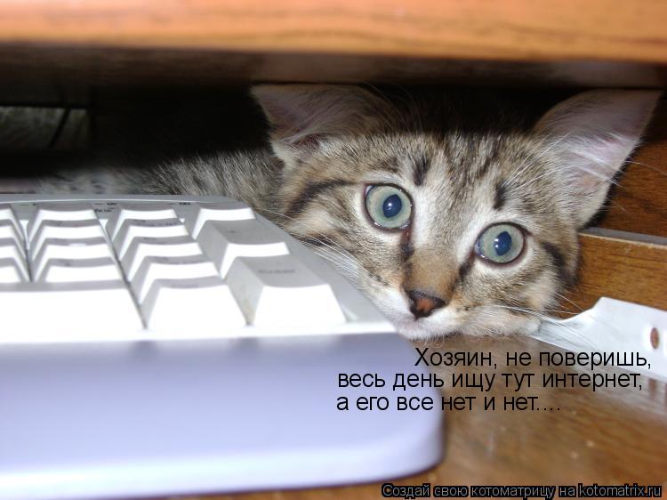 Хозяин, не поверишь, весь день ищу тут интернет, а его все нет и нет....... Котоматрица: Хозяин, не поверишь, весь день ищу тут интернет, а его все нет и нет....