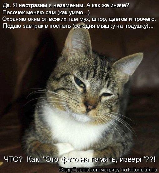 Охраняю окна от всяких там мух, штор, цветов и прочего. Да. Я неотразим и незаменим. А как же иначе? ... Котоматрица: Охраняю окна от всяких там мух, штор, цветов и прочего. Да. Я неотразим и незаменим. А как же иначе? Песочек меняю сам (как умею...) Подаю завтра