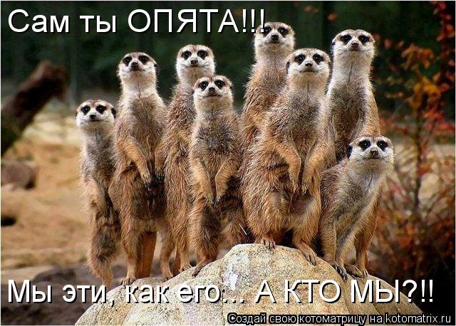 Сам ты ОПЯТА!!! Мы эти, как его... А КТО МЫ?!!... Котоматрица: Сам ты ОПЯТА!!! Мы эти, как его... А КТО МЫ?!!