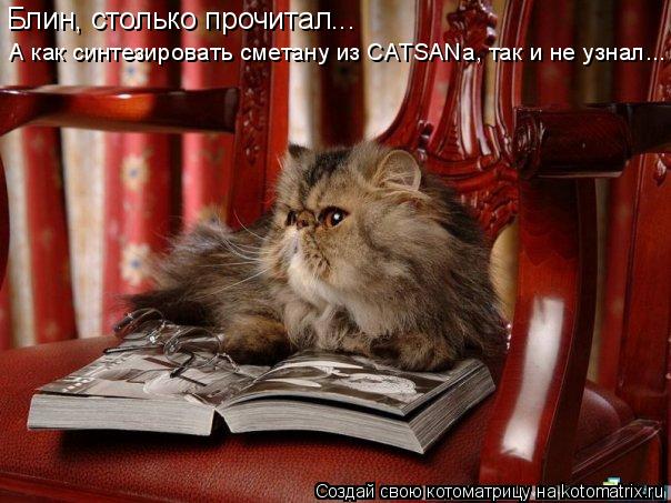 Блин, столько прочитал... А как синтезировать сметану из CATSANа, так и не узнал...... Котоматрица: Блин, столько прочитал... А как синтезировать сметану из CATSANа, так и не узнал...