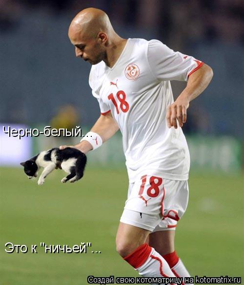 Черно-белый... Это к "ничьей"...... Котоматрица: Черно-белый... Это к "ничьей"...