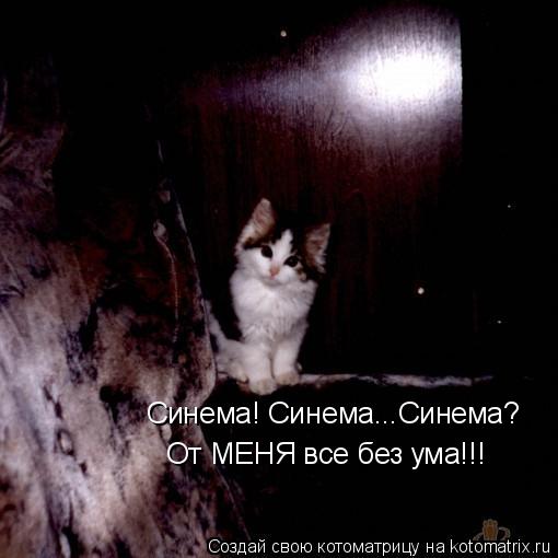 Синема! Синема...Синема? От МЕНЯ все без ума!!!... Котоматрица: Синема! Синема...Синема? От МЕНЯ все без ума!!!