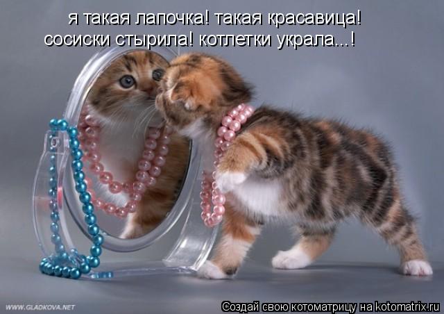 я такая лапочка! такая красавица! сосиски стырила! котлетки украла...!... Котоматрица: я такая лапочка! такая красавица! сосиски стырила! котлетки украла...!