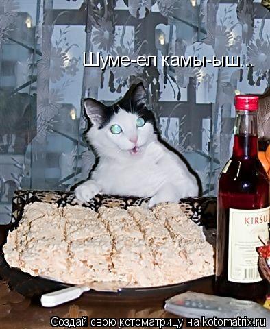 Шуме-ел камы-ыш...... Котоматрица: Шуме-ел камы-ыш...