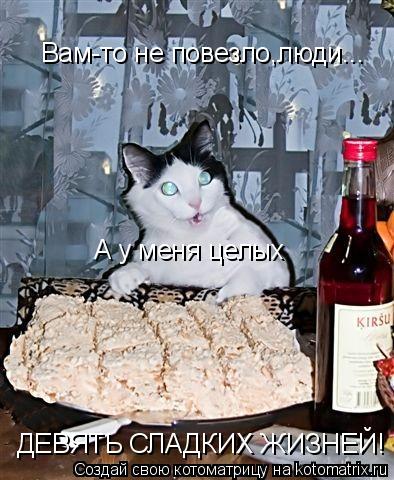 Вам-то не повезло,люди... А у меня целых ДЕВЯТЬ СЛАДКИХ ЖИЗНЕЙ!... Котоматрица: Вам-то не повезло,люди... А у меня целых ДЕВЯТЬ СЛАДКИХ ЖИЗНЕЙ!