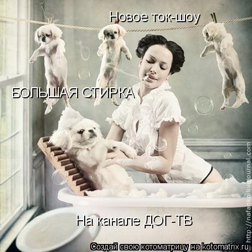 Новое ток-шоу БОЛЬШАЯ СТИРКА На канале ДОГ-ТВ... Котоматрица: Новое ток-шоу БОЛЬШАЯ СТИРКА На канале ДОГ-ТВ