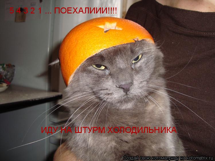5 4 3 2 1 ... ПОЕХАЛИИИ!!!! ИДУ НА ШТУРМ ХОЛОДИЛЬНИКА... Котоматрица: 5 4 3 2 1 ... ПОЕХАЛИИИ!!!! ИДУ НА ШТУРМ ХОЛОДИЛЬНИКА