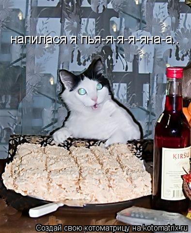 напилася я пья-я-я-я-яна-а..... Котоматрица: напилася я пья-я-я-я-яна-а..