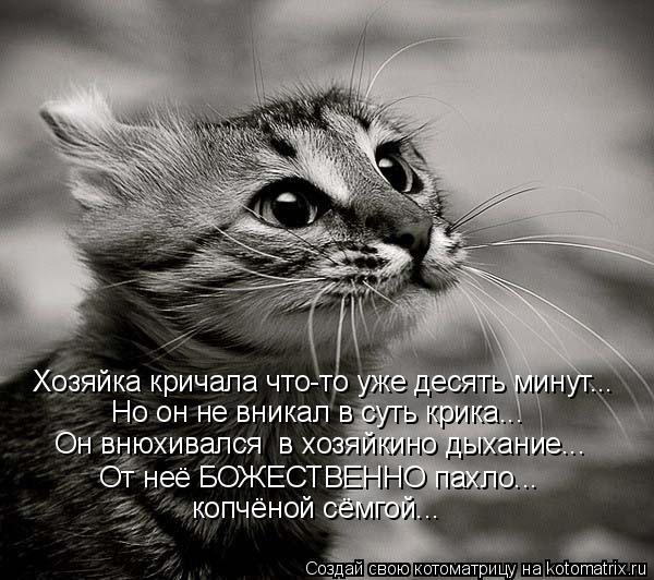 Котоматрица: Хозяйка кричала что-то уже десять минут... Но он не вникал в суть крика... Он внюхивался  в хозяйкино дыхание... От неё БОЖЕСТВЕННО пахло...  копч