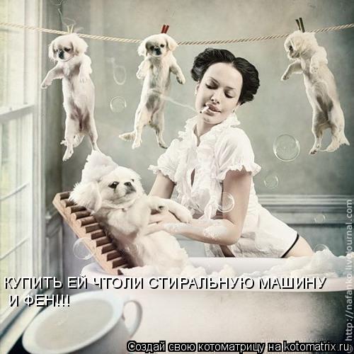 КУПИТЬ ЕЙ ЧТОЛИ СТИРАЛЬНУЮ МАШИНУ И ФЕН!!!... Котоматрица: КУПИТЬ ЕЙ ЧТОЛИ СТИРАЛЬНУЮ МАШИНУ И ФЕН!!!