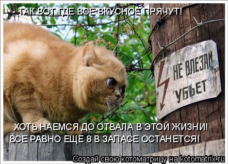 - ТАК ВОТ ГДЕ ВСЕ ВКУСНОЕ ПРЯЧУТ! ХОТЬ НАЕМСЯ ДО ОТВАЛА В ЭТОЙ ЖИЗНИ! ВСЕ РАВНО ЕЩЕ 8 В ЗАПАСЕ ОСТА... Котоматрица: - ТАК ВОТ ГДЕ ВСЕ ВКУСНОЕ ПРЯЧУТ! ХОТЬ НАЕМСЯ ДО ОТВАЛА В ЭТОЙ ЖИЗНИ! ВСЕ РАВНО ЕЩЕ 8 В ЗАПАСЕ ОСТАНЕТСЯ!