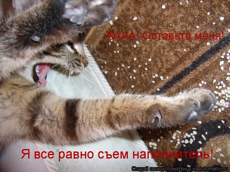 Я все равно съем наполнитель! АААА! Оставьте меня!... Котоматрица: Я все равно съем наполнитель! АААА! Оставьте меня!
